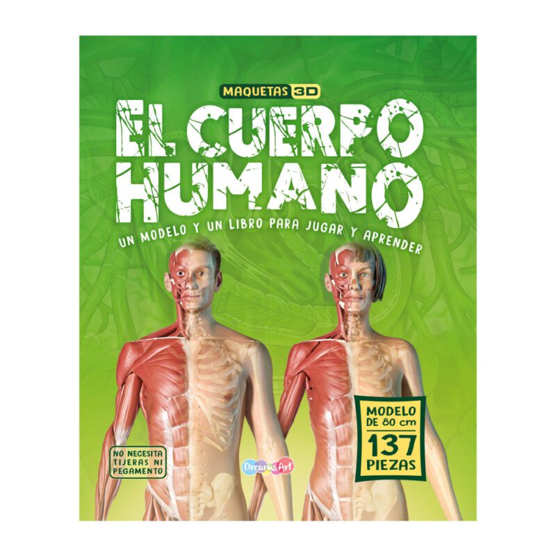 El cuerpo humano