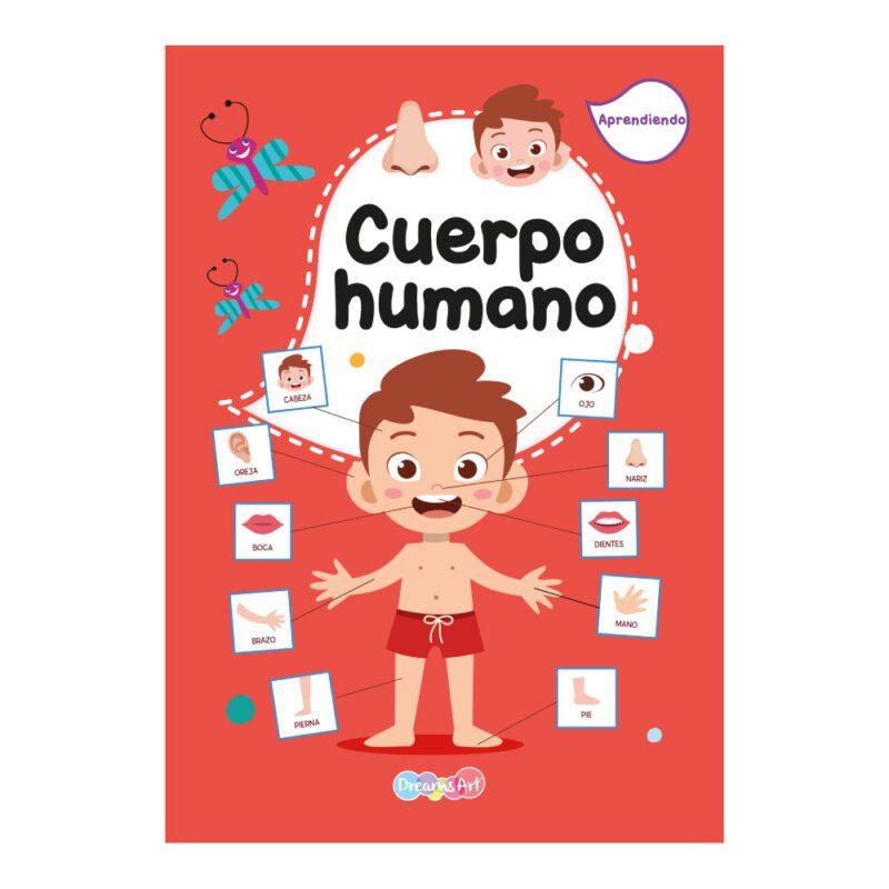 Cuerpo Humano