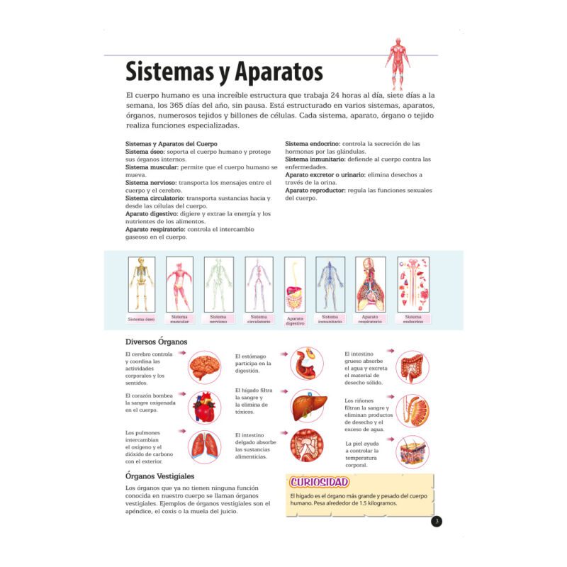 Enciclopedia del cuerpo humano - Imagen 2