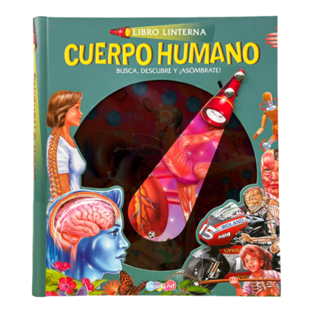 Cuerpo humano